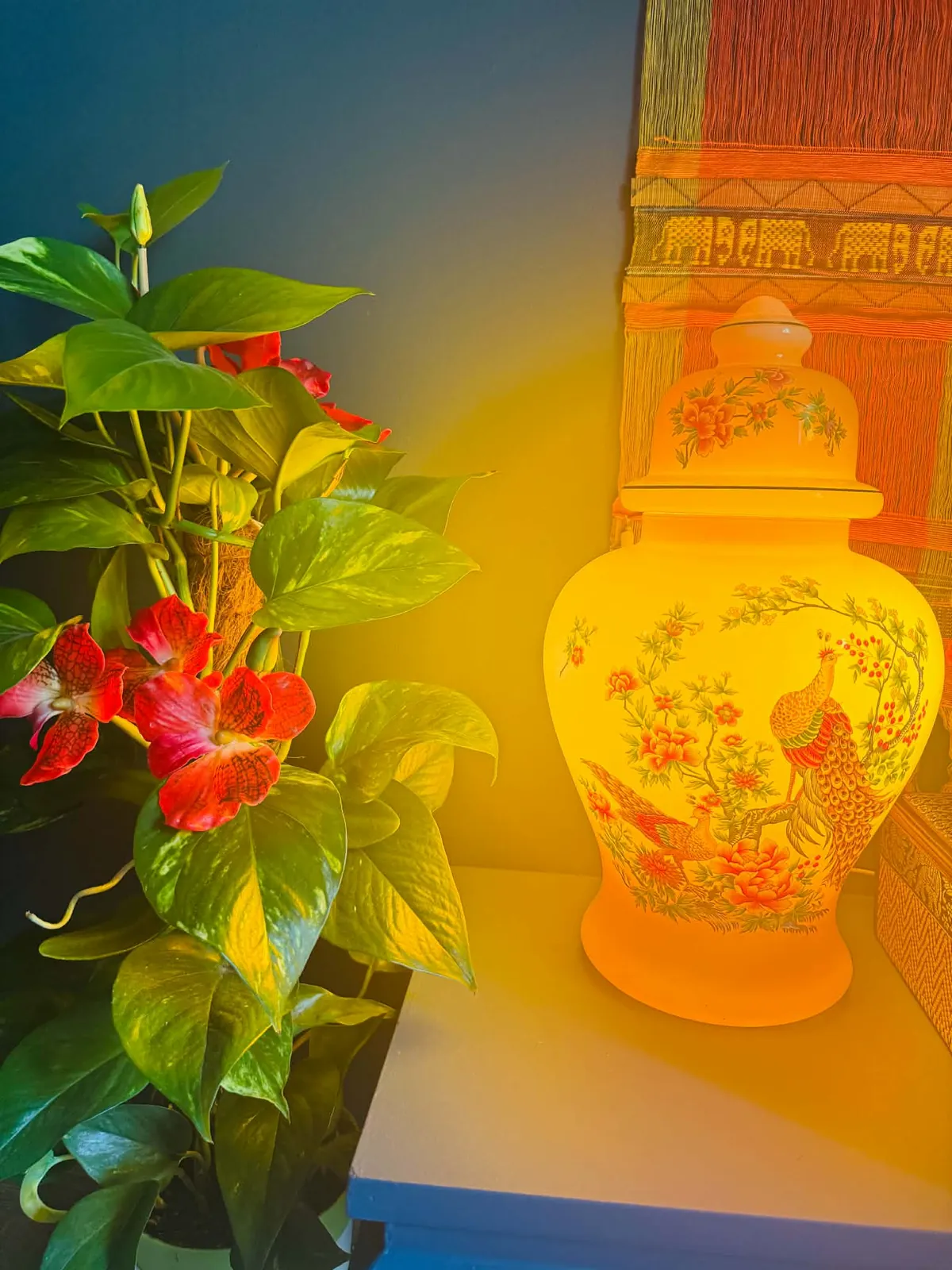 Lumière douce